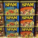 Avoid Spam Myrtle Beach