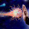 immune